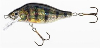 WOBLER JAXON HS VALADER 9 F ON JAXON VJ-E09FON