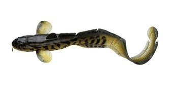 Miętus Savage Gear 3D Burbot 250 25cm 75g FS 01-Burbot (53823)
