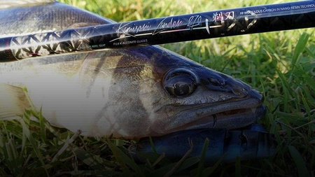 KAMISORI ZANDER 198 up to 28 g (1 sec.) EVA MIKADO WAA438-198