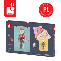 Układanka magnetyczna Ciało człowieka, Janod 