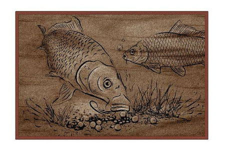 Wycieraczka Retro Karp 60x40cm Delphin (795000201)