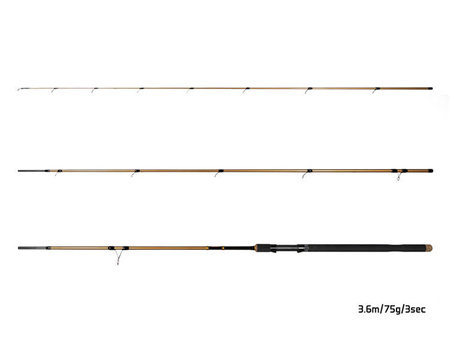 Delphin LEGIA CarpMATCH 330cm/75g/3 składy Delphin (101003233)