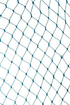 GŁÓWKA PODBIERAKA 60/50 NIEBIESKIE OBRAMOWANIE OCZKO 6mm MIKADO S4-005-6050