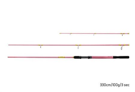 WĘDKA DLA KOBIET QUEEN Feeder + 3 szczytówki 360cm/100g/3 składy Delphin (101001278)
