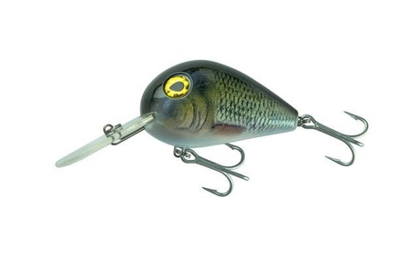 WOBLER FH - KIZOKU 6cm / D06 - TONĄCY MIKADO PWF-KU-6-D06