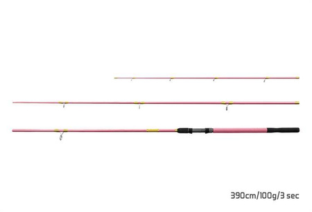 WĘDKA DLA KOBIET QUEEN Feeder + 3 szczytówki 360cm/100g/3 składy Delphin (101001278)
