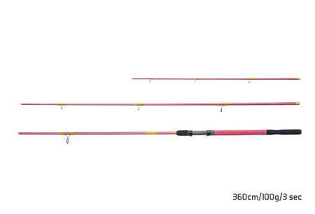 WĘDKA DLA KOBIET QUEEN Feeder + 3 szczytówki 330cm/100g/3 składy Delphin (101001277)