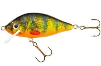 WOBLER HS KARAŚ UV 9 F OM JAXON VU-KA9FOM