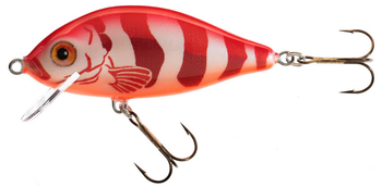 WOBLER HS KARAŚ 11 F RE JAXON VJ-KA11FRE