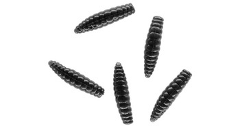PRZYNĘTA - TROUT CAMPIONE FAT GRUB 3.4 cm  / BLACK - op.6szt. MIKADO PMTC-FG3.4-BL