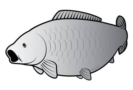 Naklejka kapor SILVER Delphin (795010080)