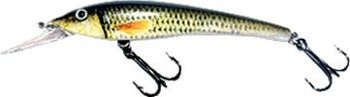WOBLER SHAD ATRACT XXT-A 6cm G JAXON VR-TA060G