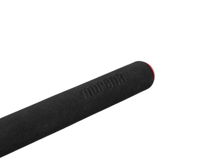 Delphin MURENA POWER 300cm/125g/2 składy Delphin (101003143)