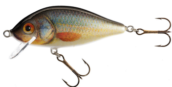 WOBLER HS KARAŚ 11 F UK JAXON VJ-KA11FUK