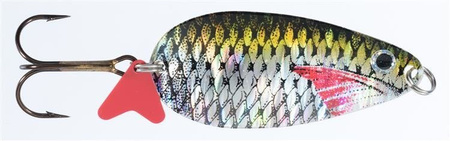 BŁYSKOTKA WAHADŁÓWKA JAXON HS KARAŚ SCOT 2 D 5X1SZT JAXON BW-JKB2D