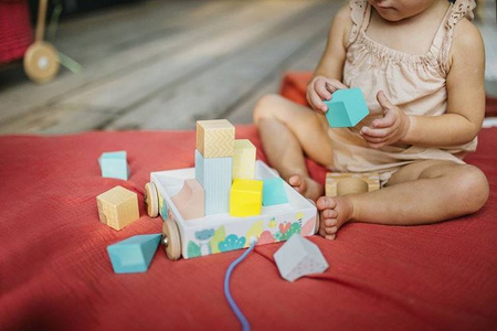 Wózek drewniany z klockami do ciągnięcia Pure, Janod