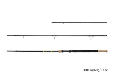 WĘDKA FEEDER RIVER Trophy NXT + 4 szczytówki 320cm/180g/3 składy Delphin (101001298)