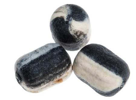 WAFTER DUO MINI METHOD FEEDER 6MM HALIBUT/CZOSNEK 15G JAXON FM-WMD01