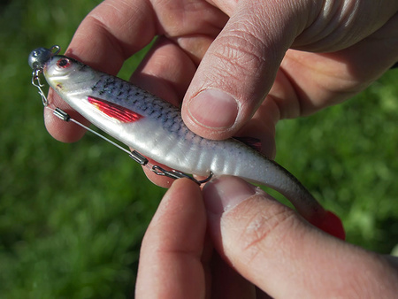 Sztuczna przynęta Delphin Realix 3D / 2 szt 13cm / Pike Delphin (101005619)