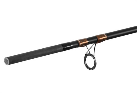 Delphin ANUBIS Feeder +2 szczytówki 360cm/100g Delphin (130386100)