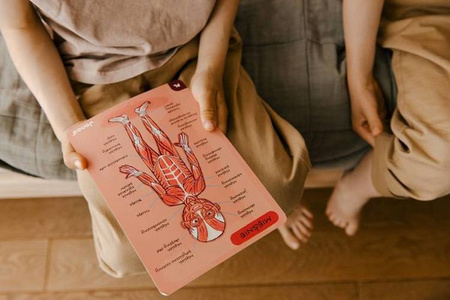 Układanka magnetyczna Ciało człowieka, Janod