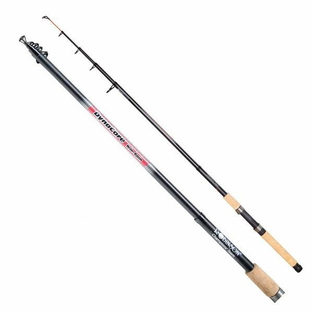 Wędka Robinson DynaCore Tele Spin, 2,40m, 10-30g Robinson 11Y-TS-024