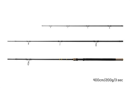 WĘDKA FEEDER RIVER Trophy NXT + 4 szczytówki 320cm/180g/3 składy Delphin (101001298)
