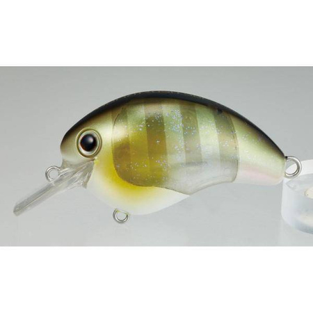 Bantam World Rush 56F Flash Boost 56mm 16g 004 Natural Gil Shimano (59VZQC56V03)