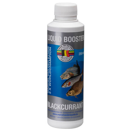 Booster MVDE Blackcurrant 250 ml Van Den Eynde EX-LIB-BCR