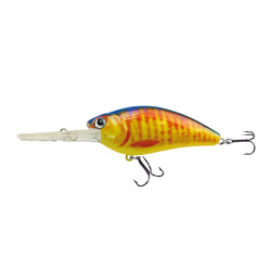 Wobler Robinson Finder F60, 60mm, 10g Robinson 46-1FI-F60-O-T