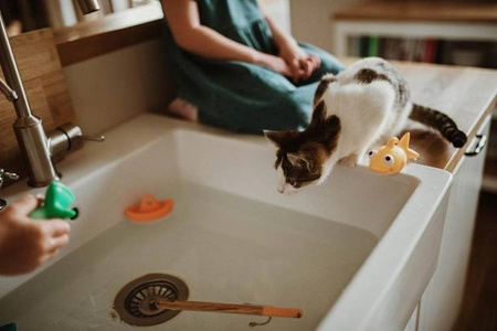 Zestaw do wędkowania w kąpieli 2+, Janod