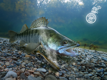 Dip w sprayu Delphin STINX SPRAY/30ml Ostryga/przezroczysty Delphin (101004680)