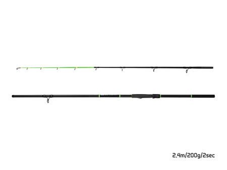 Delphin DUNAY Carp 300cm/200g/2 składy Delphin (101005809)