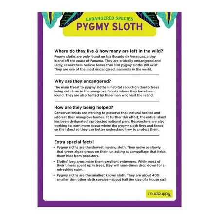 Mudpuppy Puzzle edukacyjne Zagrożone gatunki Leniwiec karłowaty 300 elementów 7+