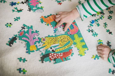 Mudpuppy Puzzle rodzinne Zwierzęta z lasu deszczowego 500 elementów 8+