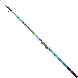 ARCUS PRO BOLOGNESE 500/30 WĘDKA KONGER 130014500