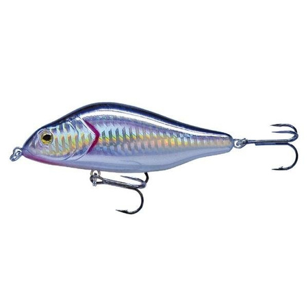Wobler Robinson Huncher S100, 100mm, 33g Robinson 46-1HN-S10-S-SH