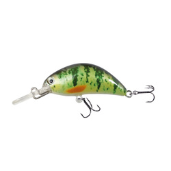 Wobler Robinson Tronx S40, 40mm, 4g Robinson 46-1TX-S40-PE