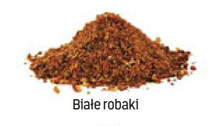 (R) ZANĘTA METHOD FEEDER READY 750G BIAŁE ROBAKI 1SZT JAXON FM-ZR20