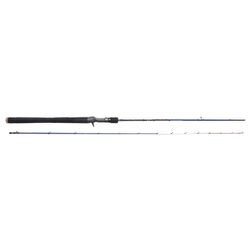 SGS6 IKA&JIG 6'8''/2.03M M MAX 75G ML 0.4-0.8 2SEC BC Savage Gear (74945)