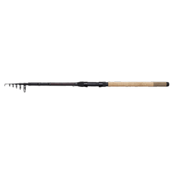 PTS II TELE TROUT 10'2''/3.10M M 5-20G 7SEC DAM (70756)