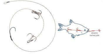 Systemik do martwej rybki  - A.F.W. - 2 kotw.rozmiar2/hak rozmiar2 7 x 7 Surfstrand 12 kg 50 cm 1 szt.    DRAGON PDF-54-002-1250