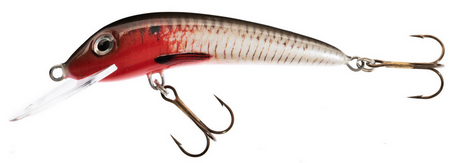 WOBLER HS FEROX 4 F RB JAXON VJ-F04FRB