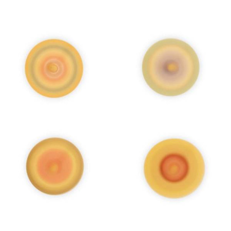 Drewniany bączek Pocket 3+, opakowanie zbiorcze 20 sztuk (4 rodzaje), Janod