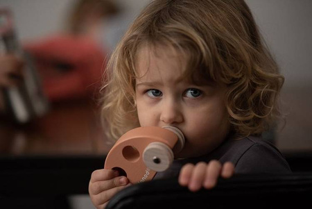 Drewniane pojazdy Sweet Cocoon, opakowanie zbiorcze 8 sztuk (3 modele: 3+3+2), Janod