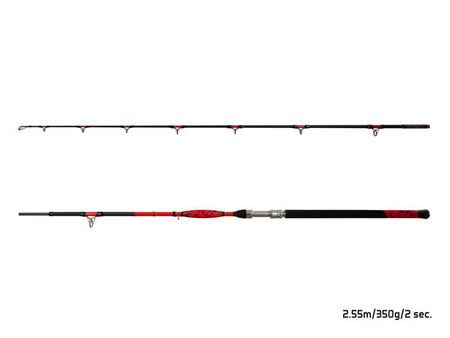 Delphin DANGER CatFISH 285cm/350g/2składy Delphin (101004441)