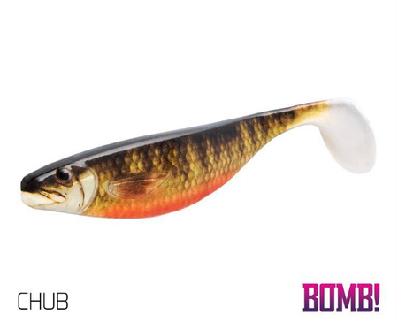 Sztuczna przynęta/guma BOMB! HYPNO / 2szt 13cm/3D CHUB Delphin (690021305)