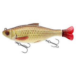3D HARD PULSETAIL ROACH 13.5CM 40G SLOW SINKING RUDD Savage Gear (73972)