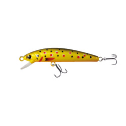 Wobler Robinson Rickie F50, 50mm, 2,5g Robinson 46-1RC-F50-TR