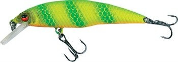 WOBLER ATRACT MINNOW XXT-C 7cm D JAXON VR-TC070D